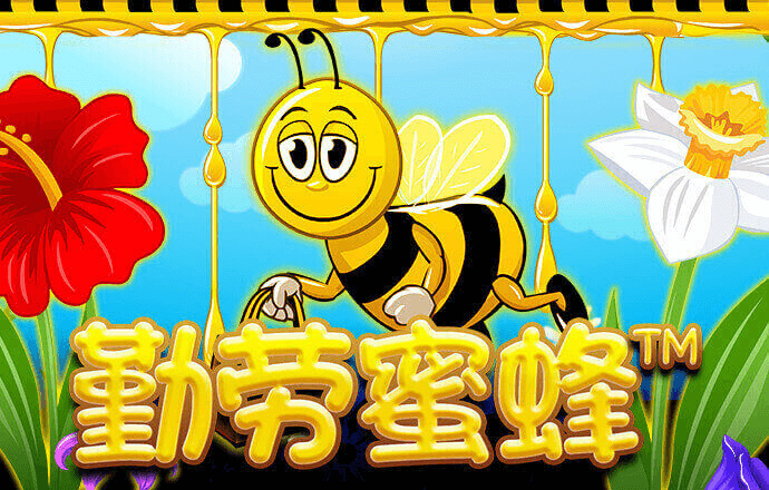 9339体育在线登陆
